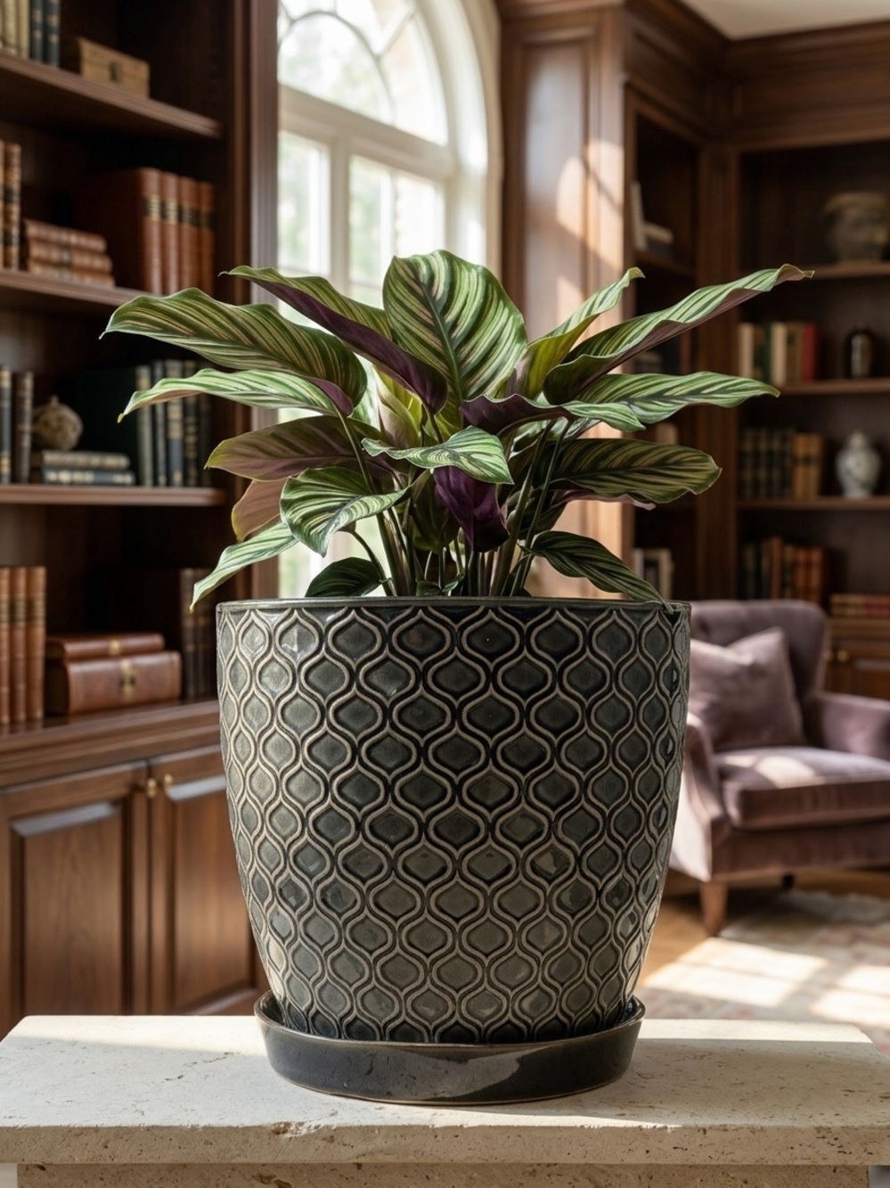 Ceramic Planter with Saucer and Drainage Hole, 8 Inch Flower Pot for Indoor